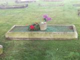 image of grave number 134079